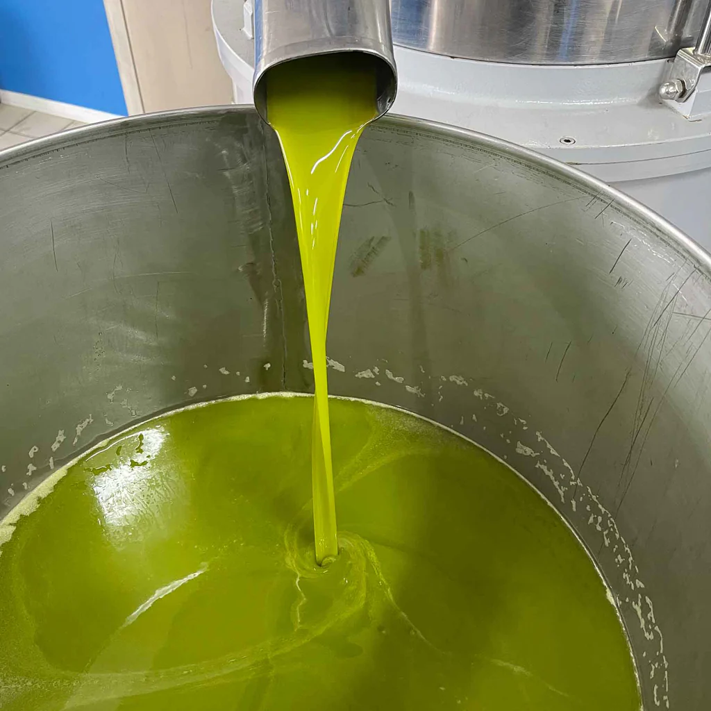 first cold pressed olive oil 1024x1024